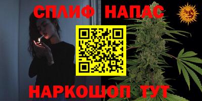 герыч Гагарин