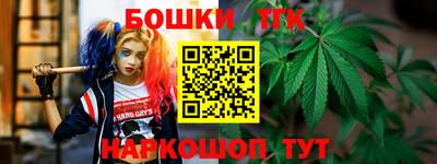 бошки Гай