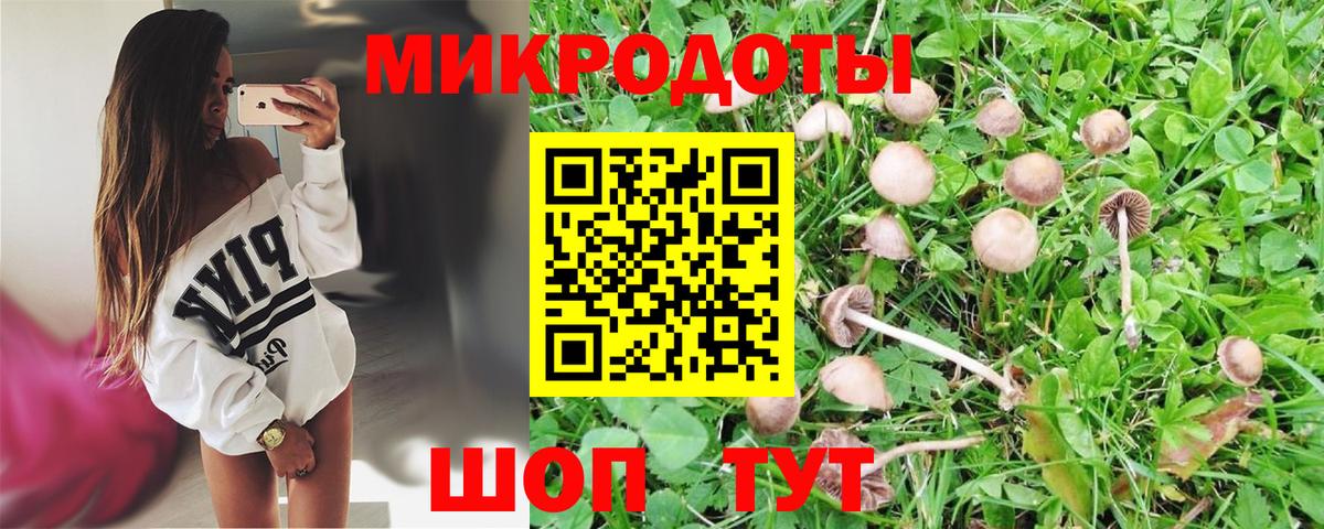 Псилоцибиновые грибы мицелий Нижний Тагил