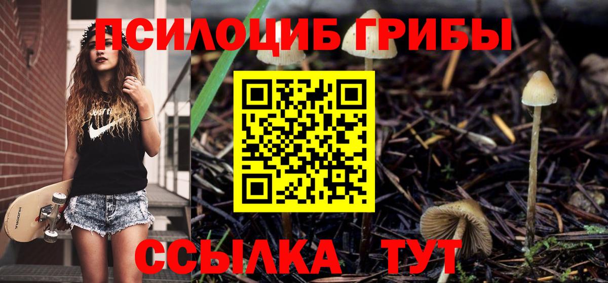 Галлюциногенные грибы Psilocybine cubensis  Вход с VPN  закладки  Нижний Тагил 